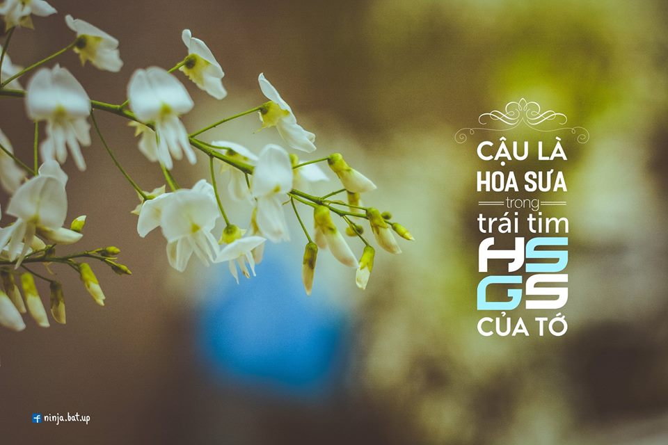 Trường THPT Chuyên KHTN