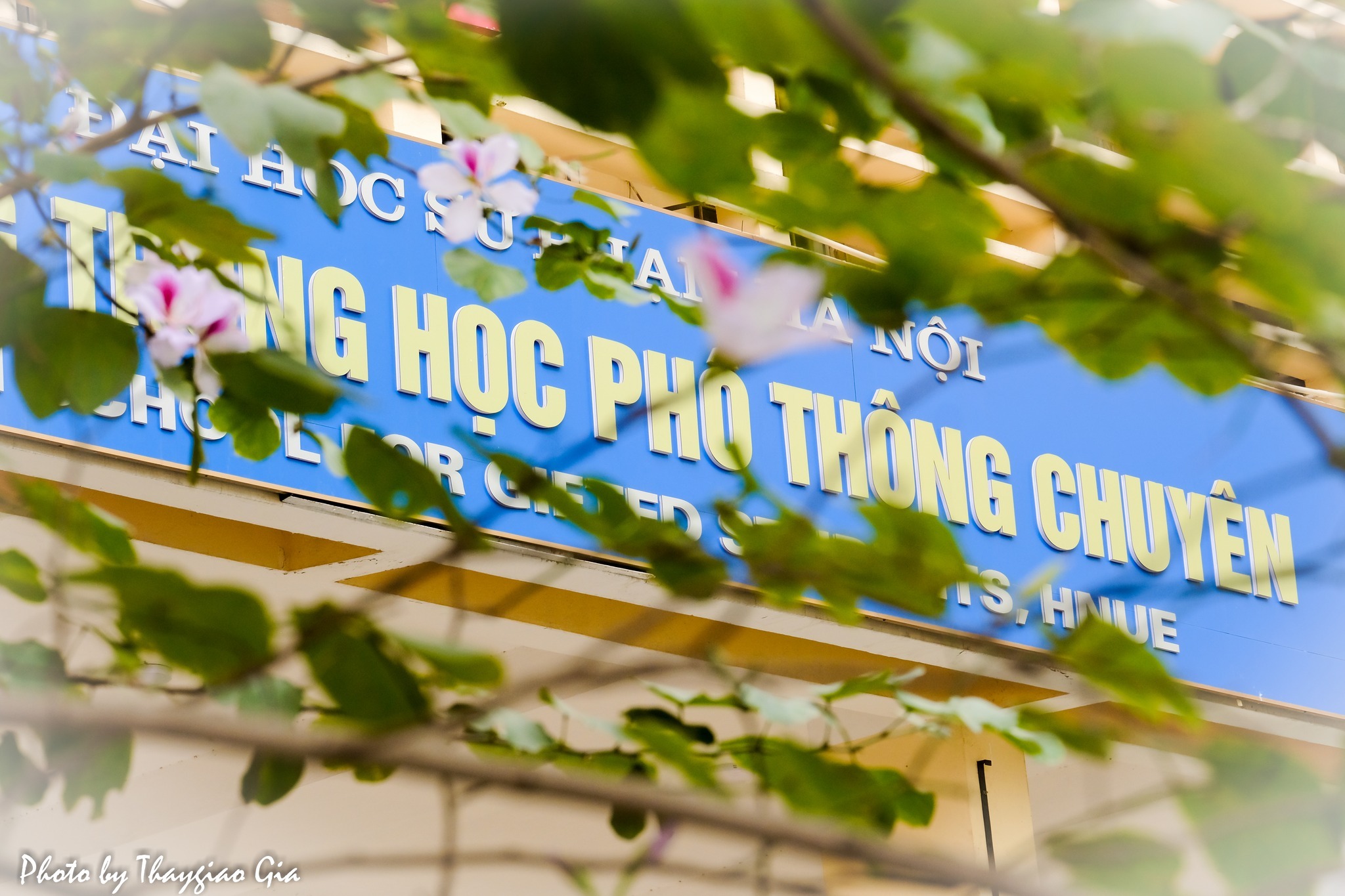 Kỳ thi tuyển sinh vào 10 trường THPT Chuyên Sư phạm
